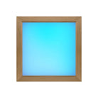 Sauna Led Farbpaneel poetic 50 Erle - artvion